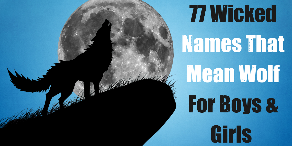 77 Wicked Names That Mean Wolf For Boys Girls EverythingMom