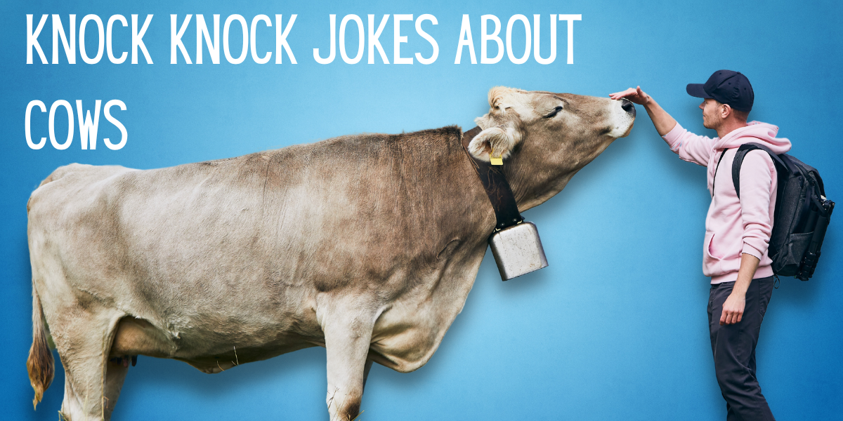 189 Of The Best Cow Jokes To Make You Lol Everythingmom